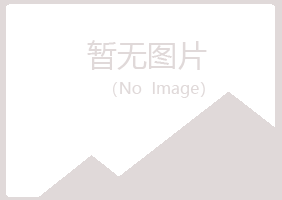 罗山县白山培训有限公司